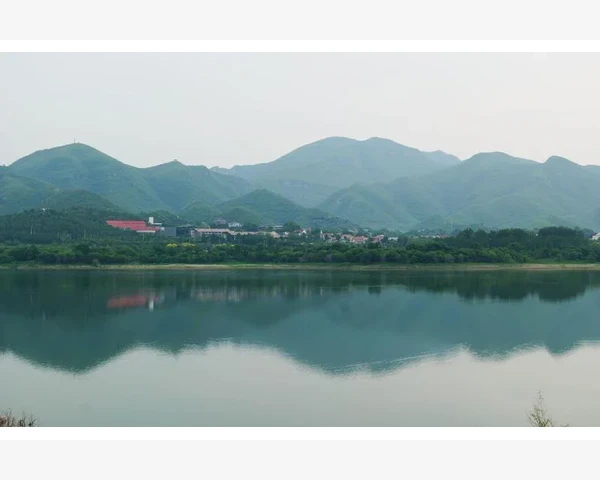 怀孕感冒吃什么好？中医科普指南