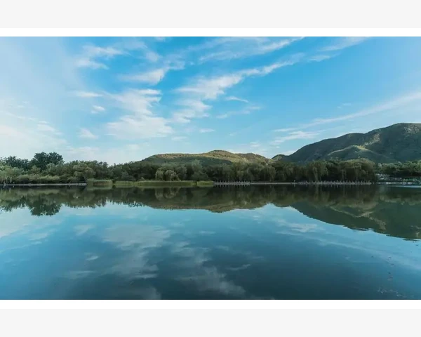 精油化痰：中医疗法解析，告别痰多困扰，呼吸更畅适