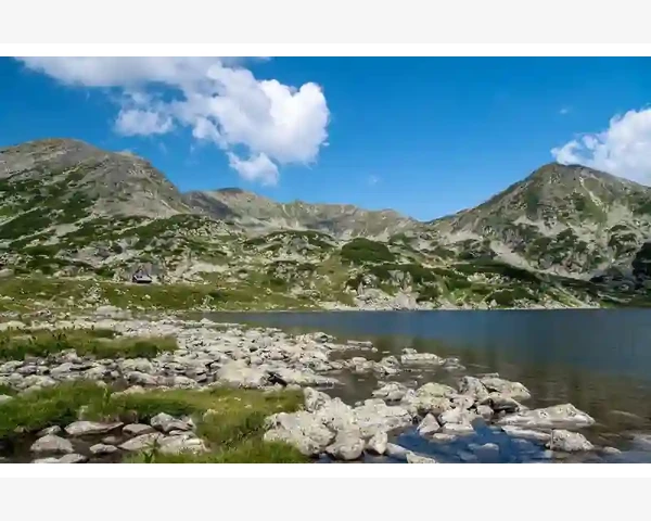 化痰橘红：中医治疗痰湿症的独特疗法